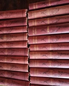 Colección libros Charles Dickens editados por su primera editorial